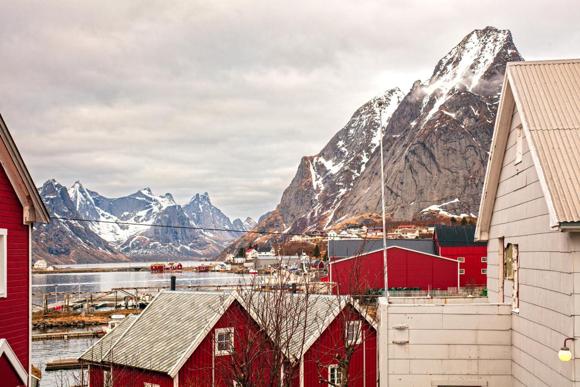 Reine Mountain View Retreat Holiday home Moskenes